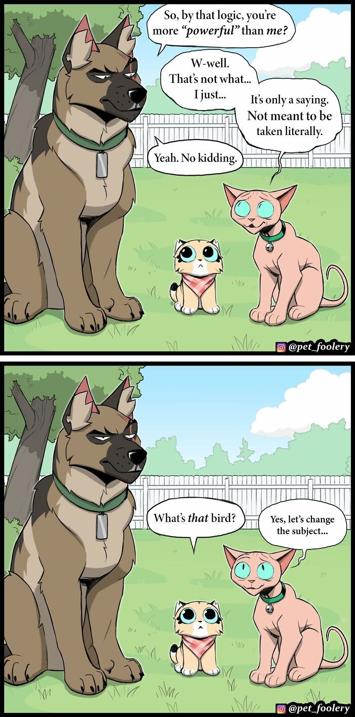 Artist Illustrates True Animal Friendship Between Pixie And Brutus, And Here Are 9 Of His Newest Comic Strips - 37