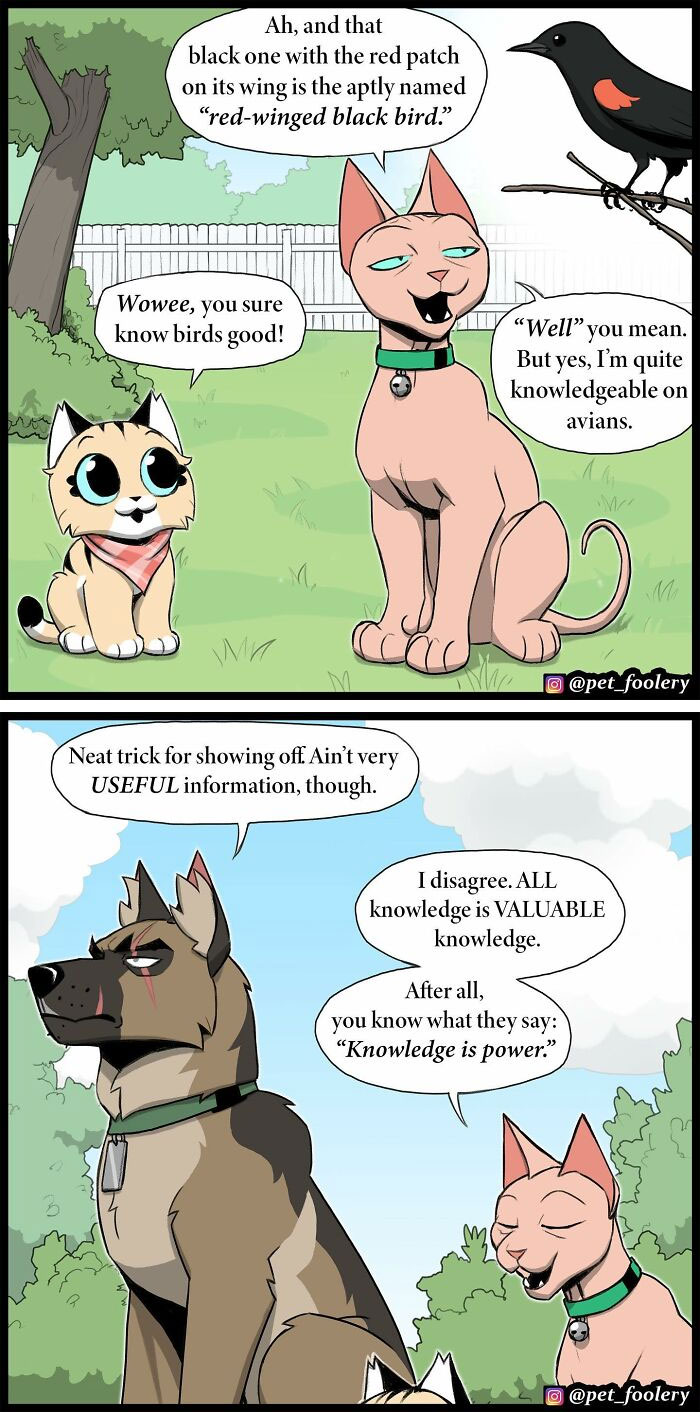 Artist Illustrates True Animal Friendship Between Pixie And Brutus, And Here Are 9 Of His Newest Comic Strips - 36