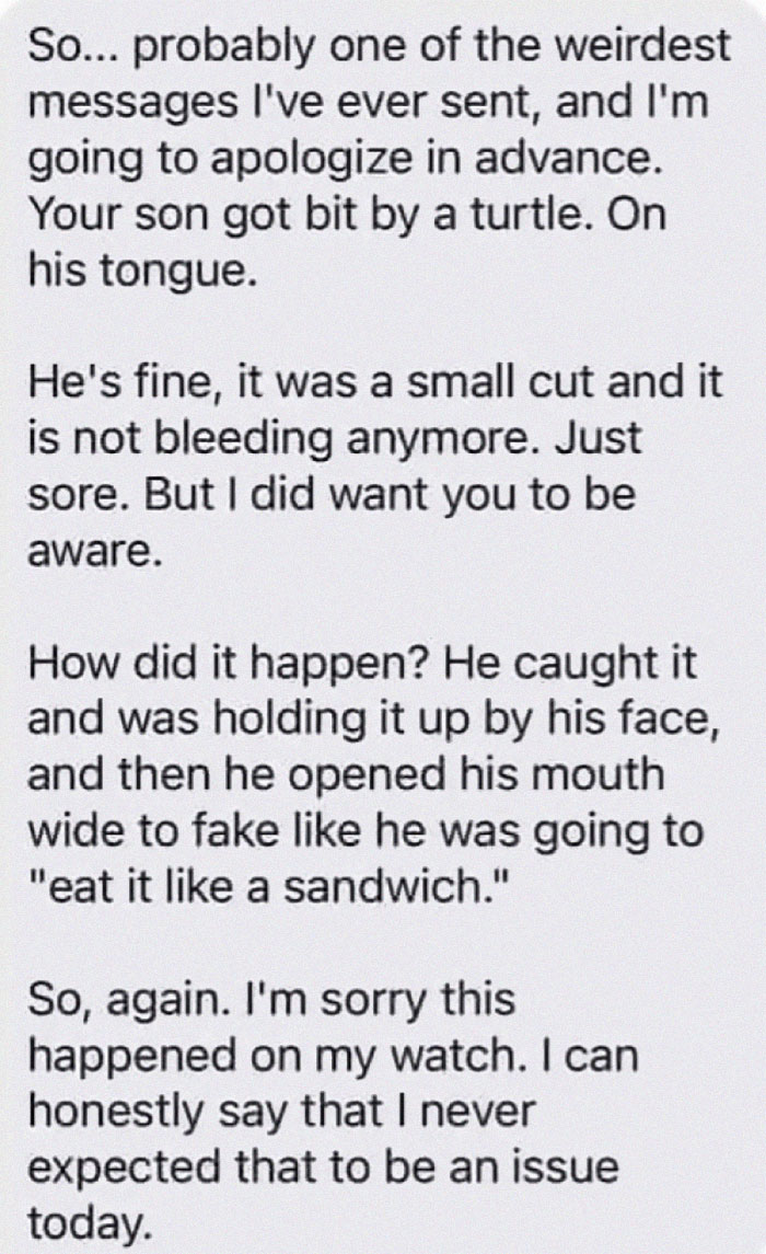 The Turtle Sandwich Bites Back