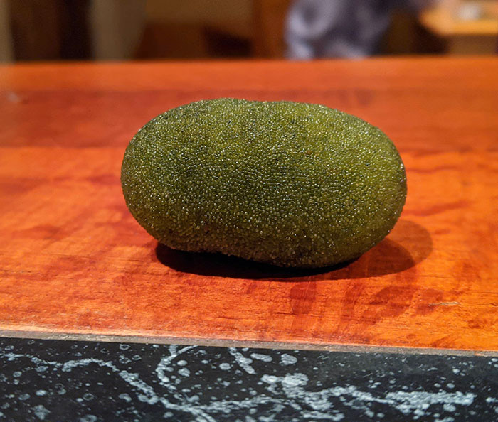 Found This Thing On The Beach. It's Solid And Smells Like Seaweed. What Is It?