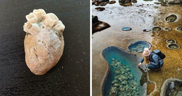 40 Cosas muy inesperadas, interesantes y extrañas que la gente encontró en la playa (nuevas fotos)