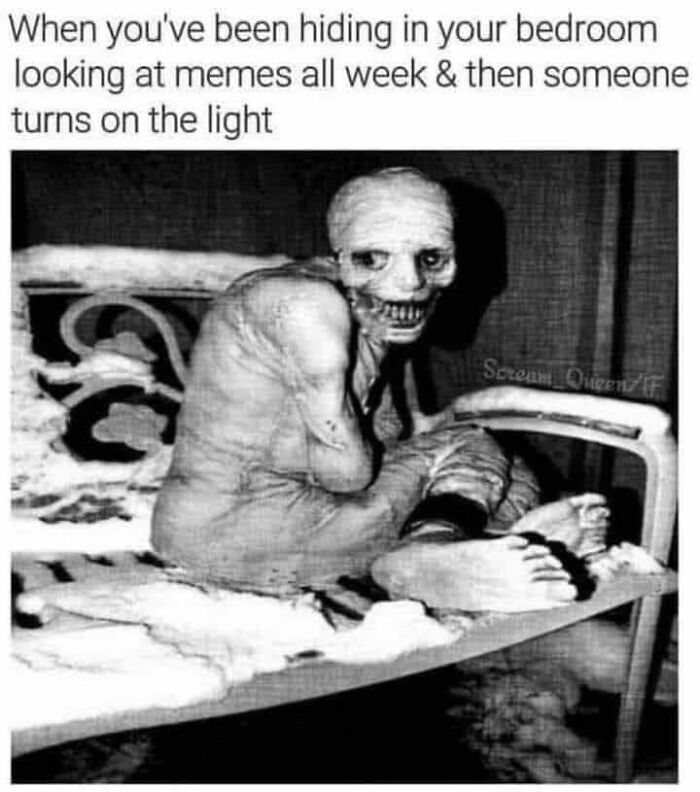 Funny-Introvert-Memes-Jokes