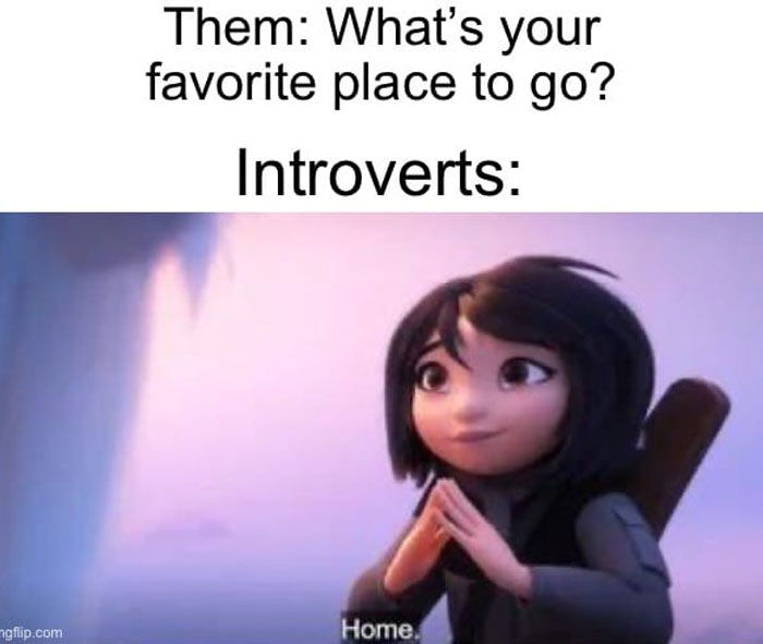 Funny-Introvert-Memes-Jokes