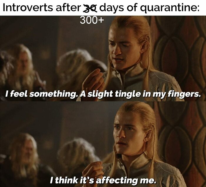 Funny-Introvert-Memes-Jokes