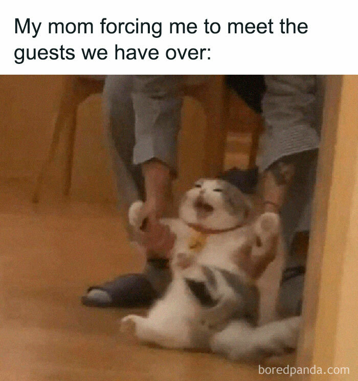 Funny-Introvert-Memes-Jokes