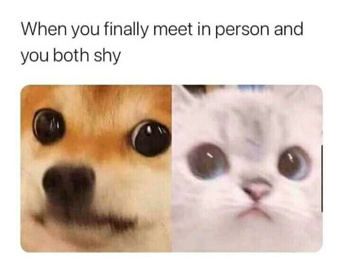 Funny-Introvert-Memes-Jokes