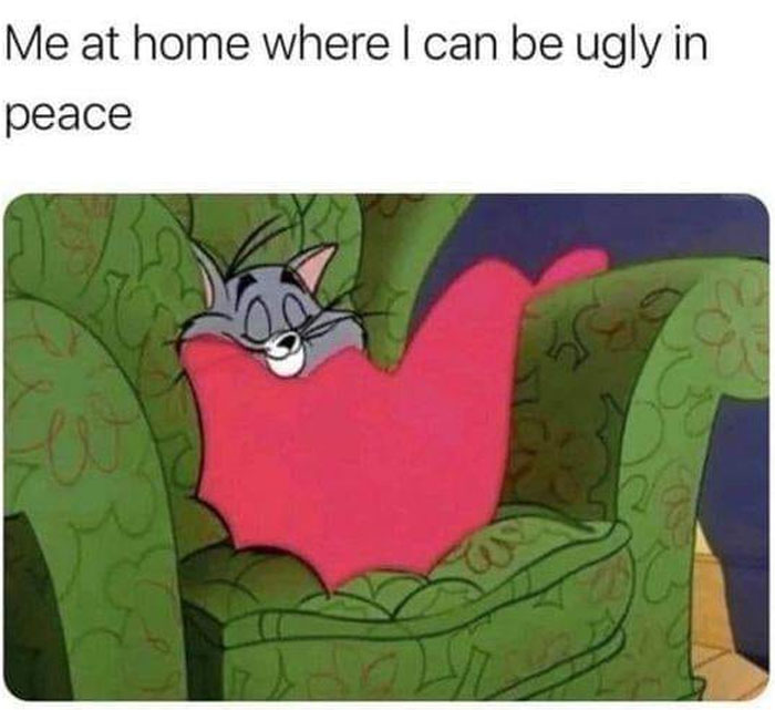 Funny-Introvert-Memes-Jokes