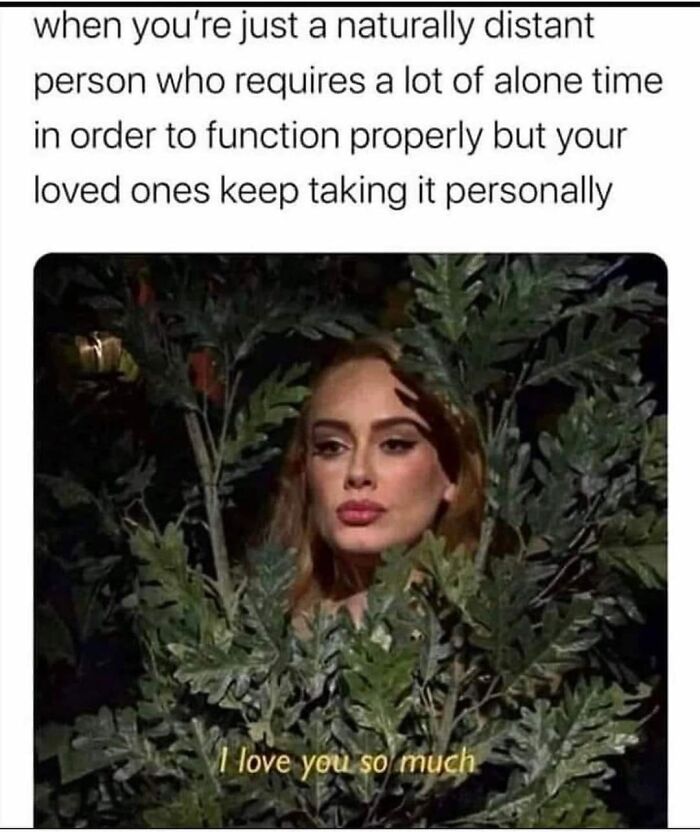 Funny-Introvert-Memes-Jokes