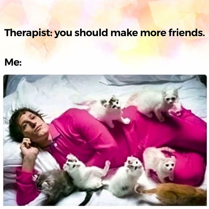 Funny-Introvert-Memes-Jokes