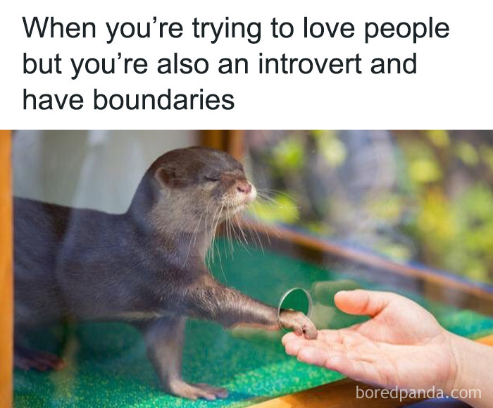 Funny-Introvert-Memes-Jokes