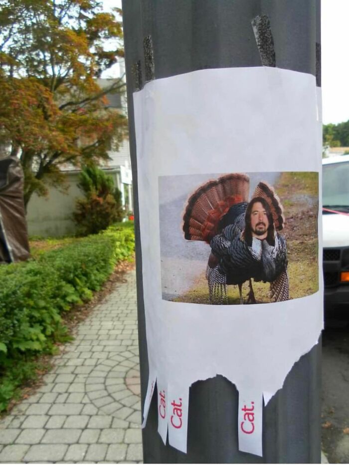 July 4, 2011, On A Lamppost In My Neighborhood. I’m Still Confused 11 Years Later