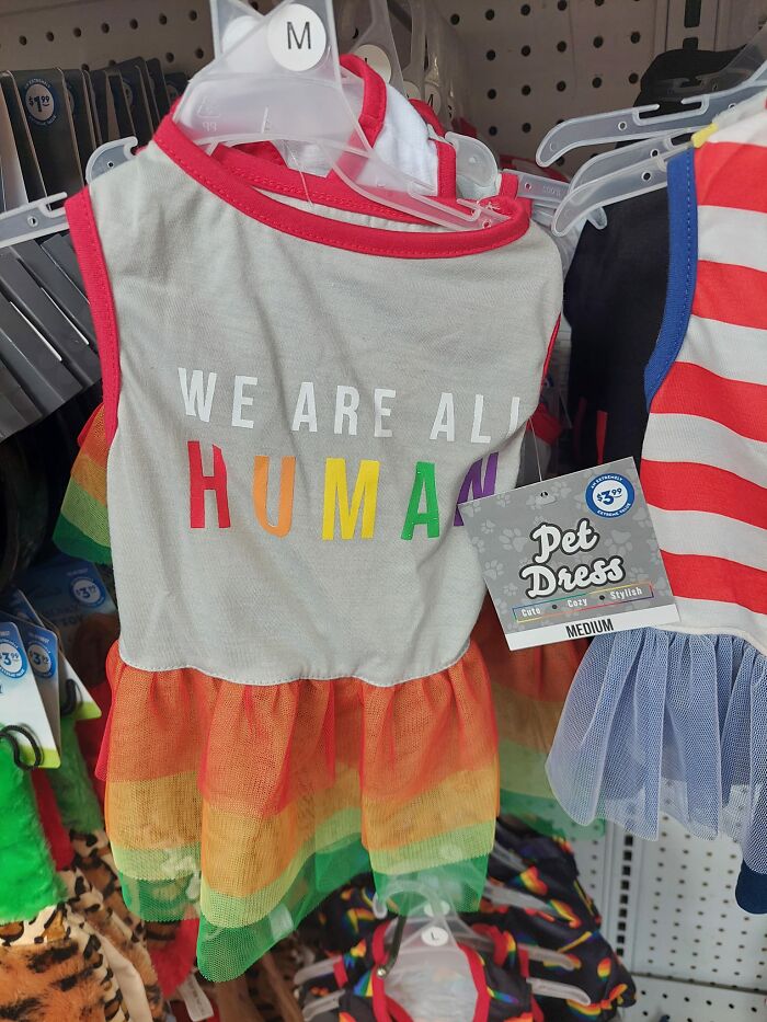 I Want To Argue But I'm An Ally...