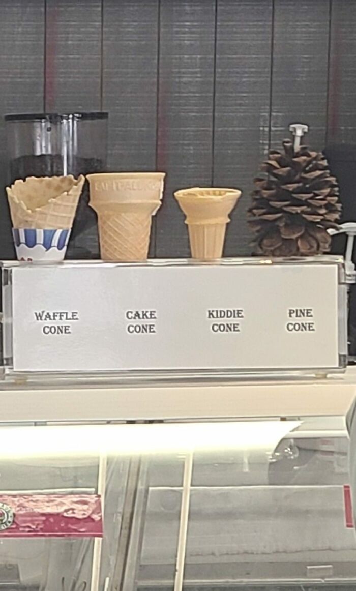 Useless, But Very Popular And Successful In My Book