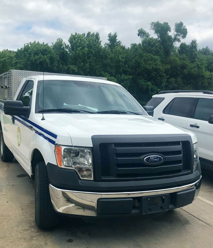 The Best Place To Hide From Animal Control Is Right Under Their Noses