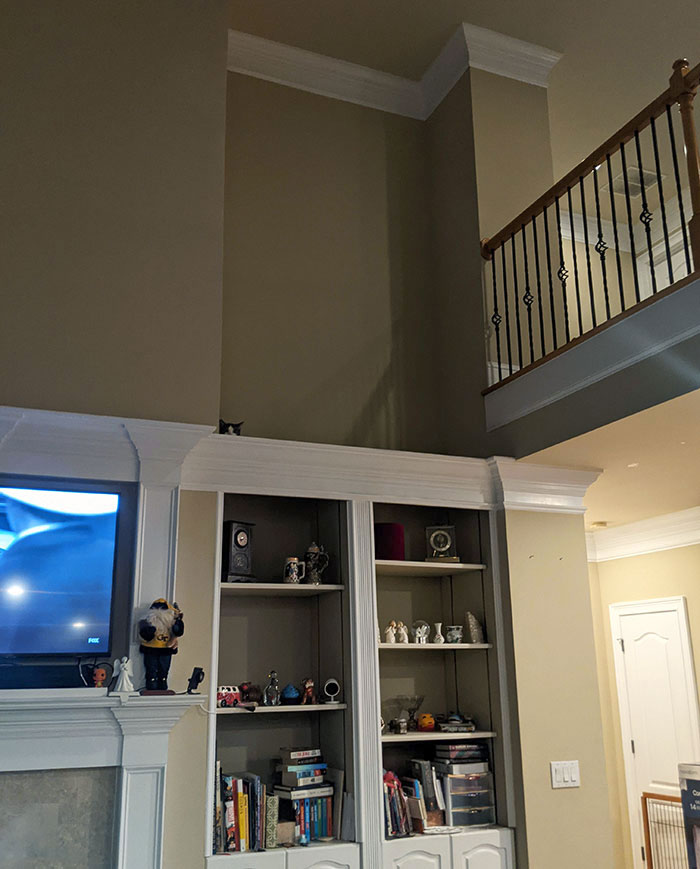 I Finally Figured Out Where My Cat Has Been Hiding. I Only Saw Him Because A Bird Chirped On TV And He Stuck His Head Up Slightly. Who Sees Him?