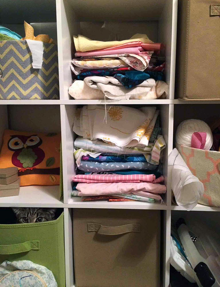 My Cat Thinks She's A Ninja