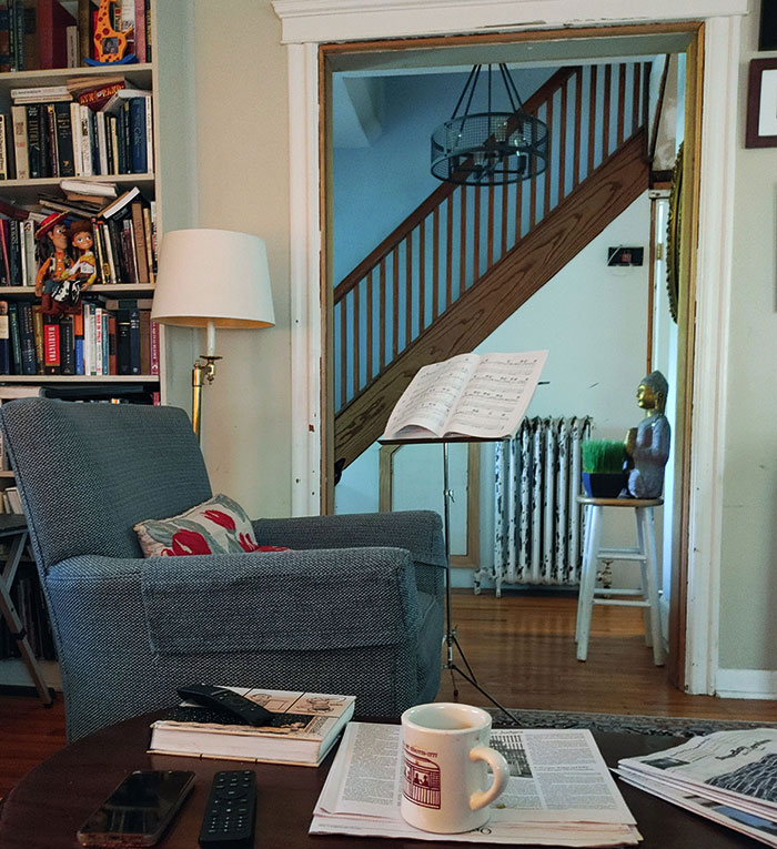 Find My Cat In This Photo