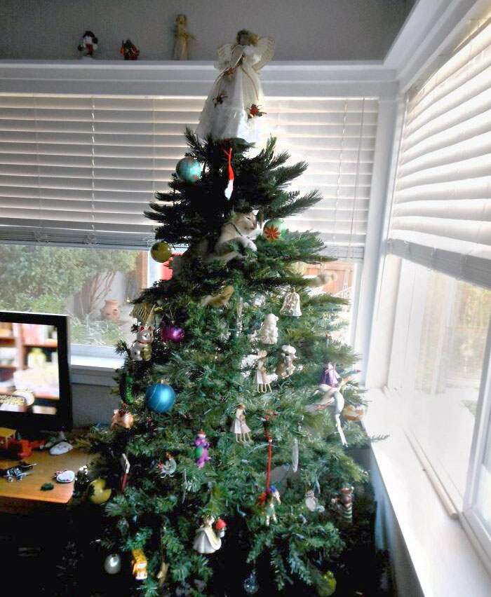 When You See It. Happy Holidays