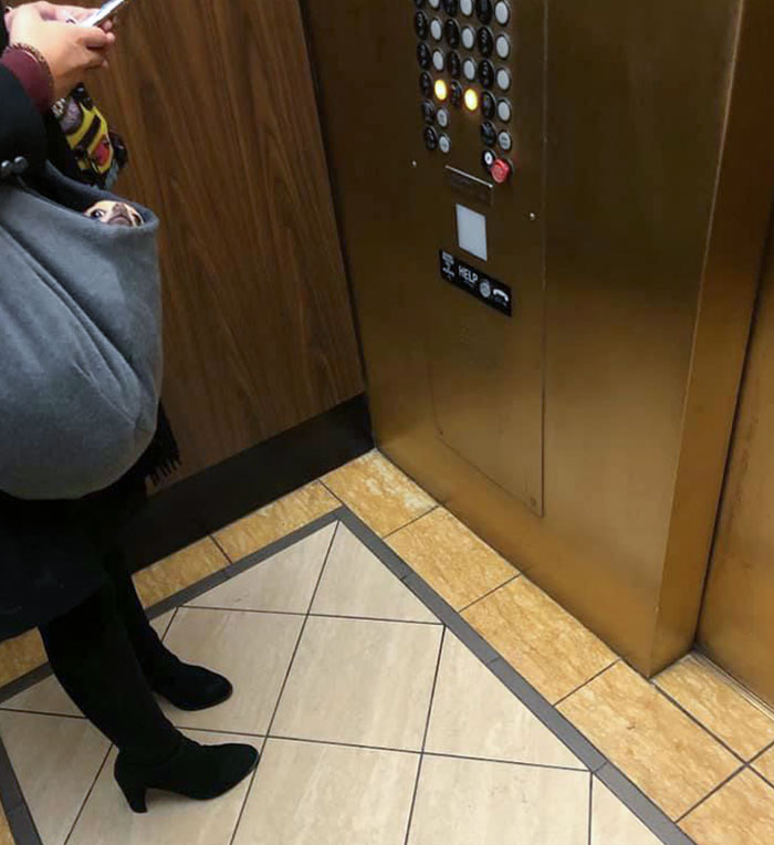 Sometimes You Just Know You’re Being Watched