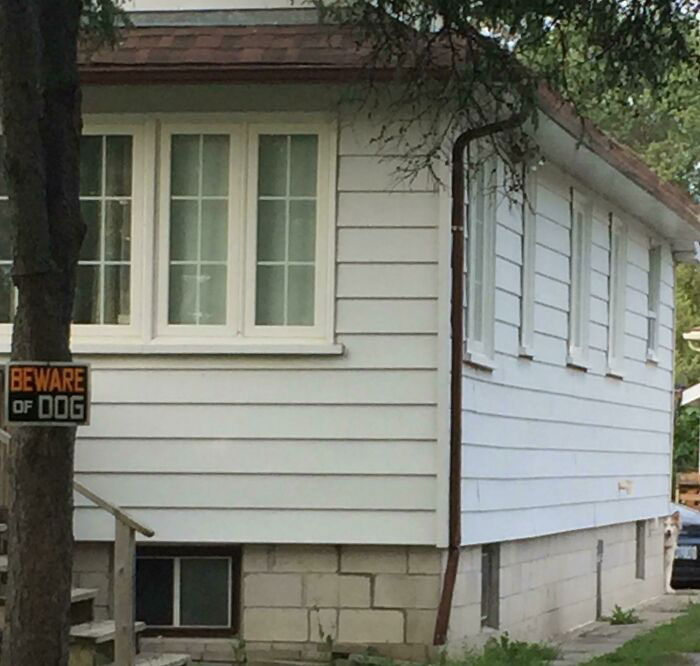 He’s Not Mean, Just A Bit Stalky