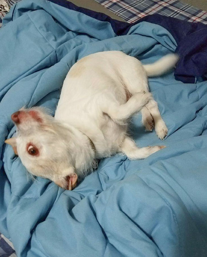 Nope, You're Wrong. Look Closer