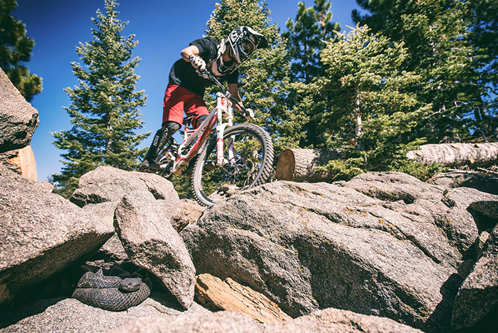 After My Initial Flash Of Fear, I Took A "When You See It" Picture