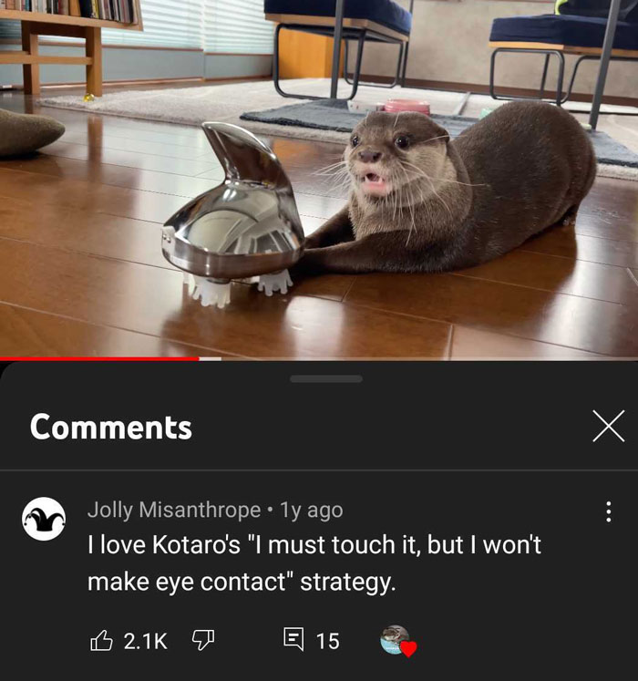 Otter Reacts To Head Massager