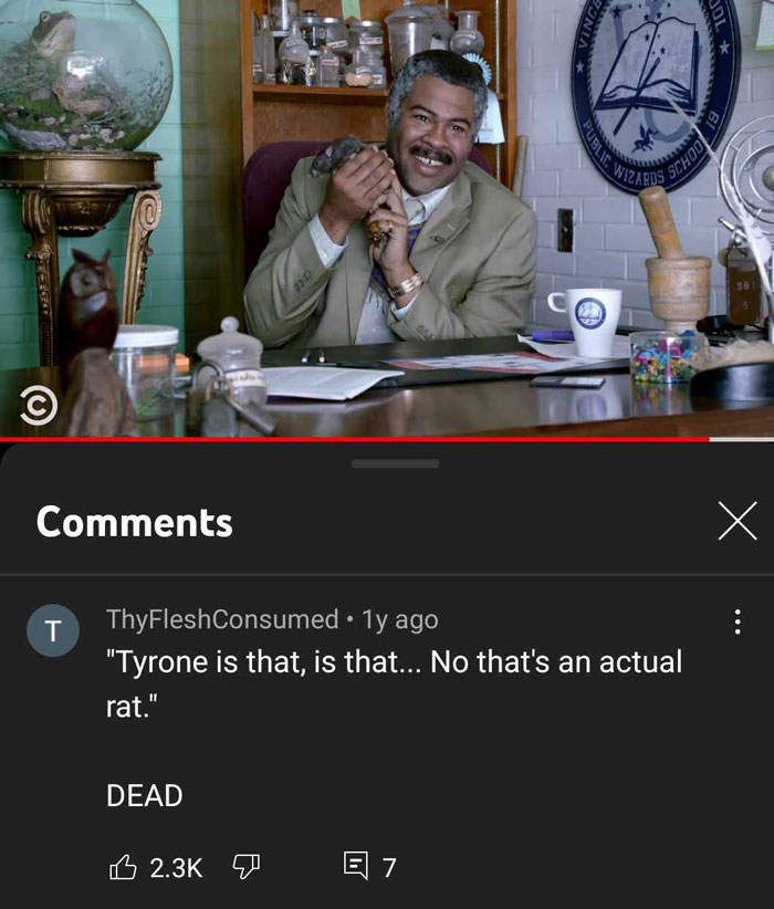 If Hogwarts Were An Inner-City School