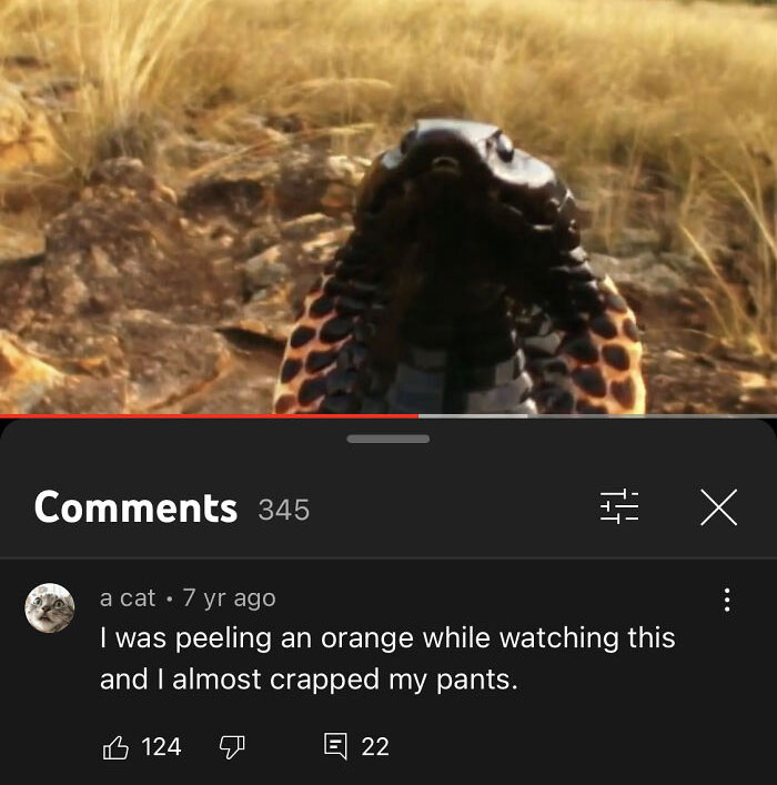 Venom Hunter: Spitting Cobra