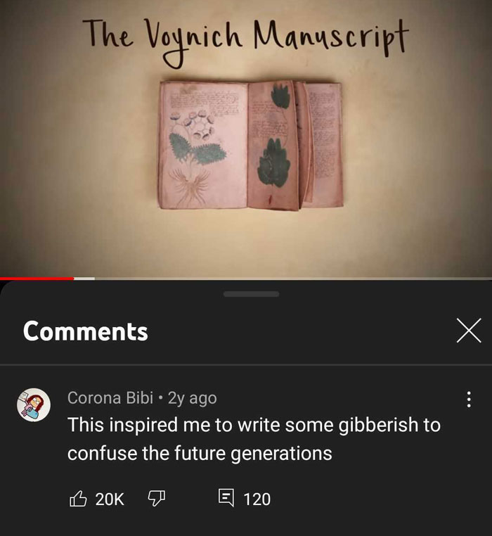 The World’s Most Mysterious Book