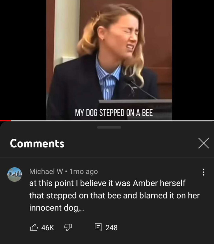 My Dog Stepped On A Bee 