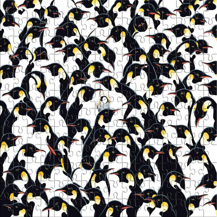 Pingüinos