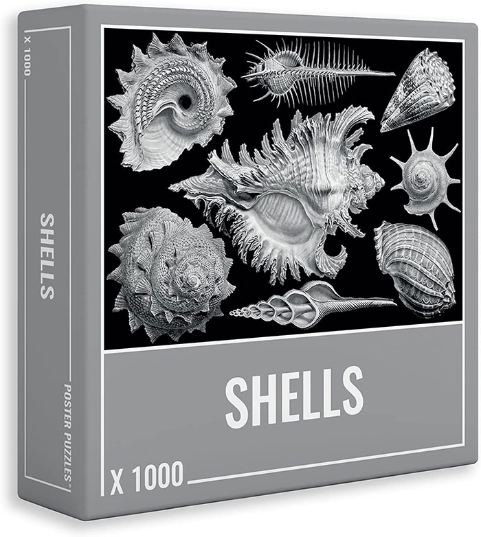 Shells