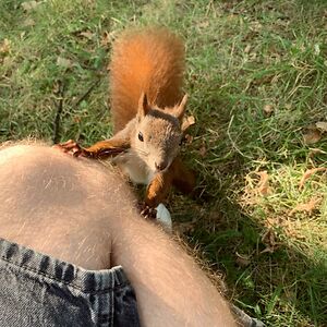 benjaminmetzner_1 avatar