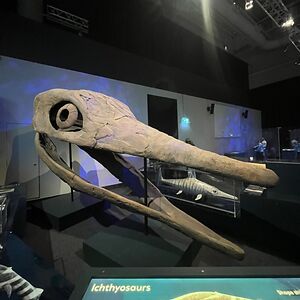 denisavlckova avatar