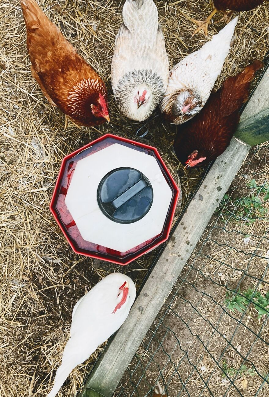 Gossip Around The Water Cooler.