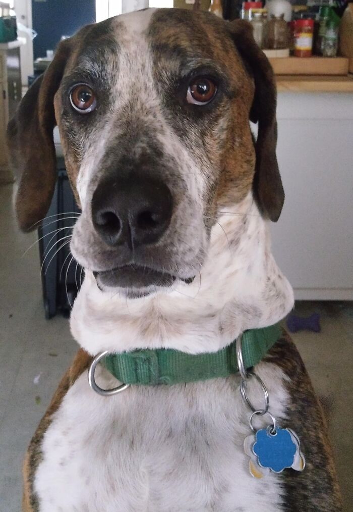 Murphy Alexander- Contracted Lymphoma And Went To Sleep 11 Days After My Dad Died, January 2020