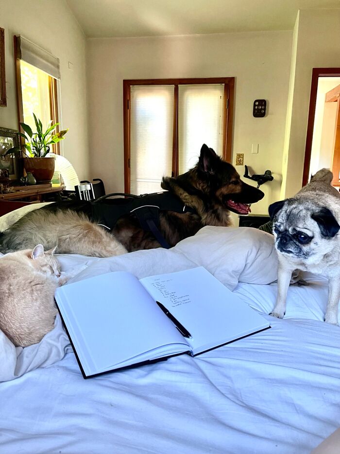 Disabled I Wouldn’t Survive Without My Critters