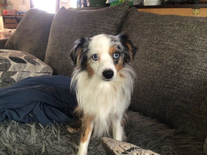 My Precious Baby Toby Bear 🐻