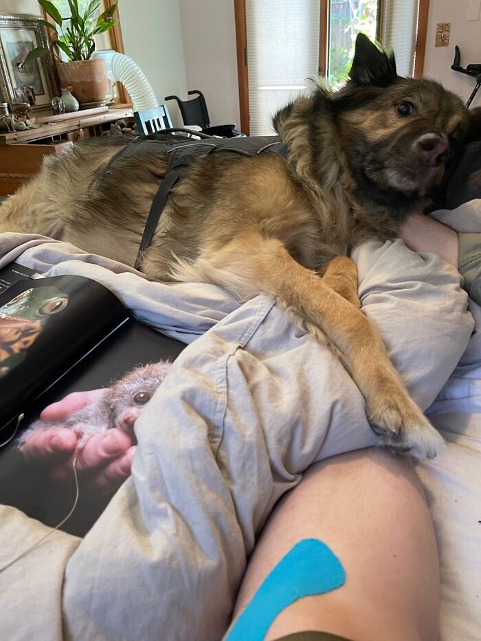 Hanging With Beastie Under Fan Yay Pots