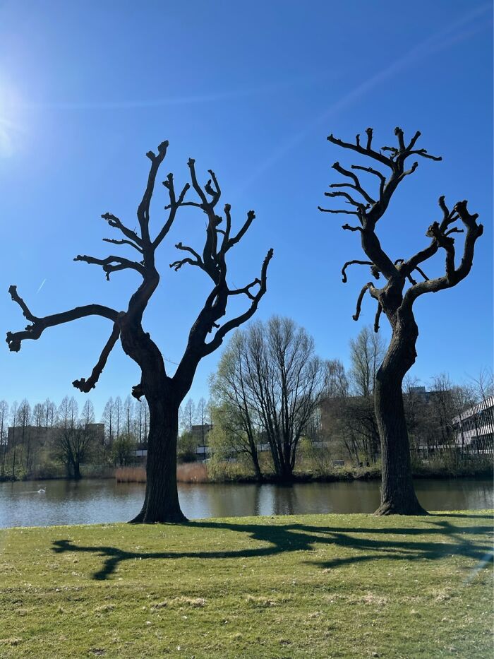 Park Life Park Life