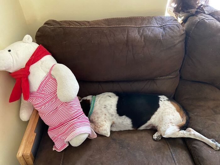 8–9–10…. Ready Or Not, Here I Come!!!