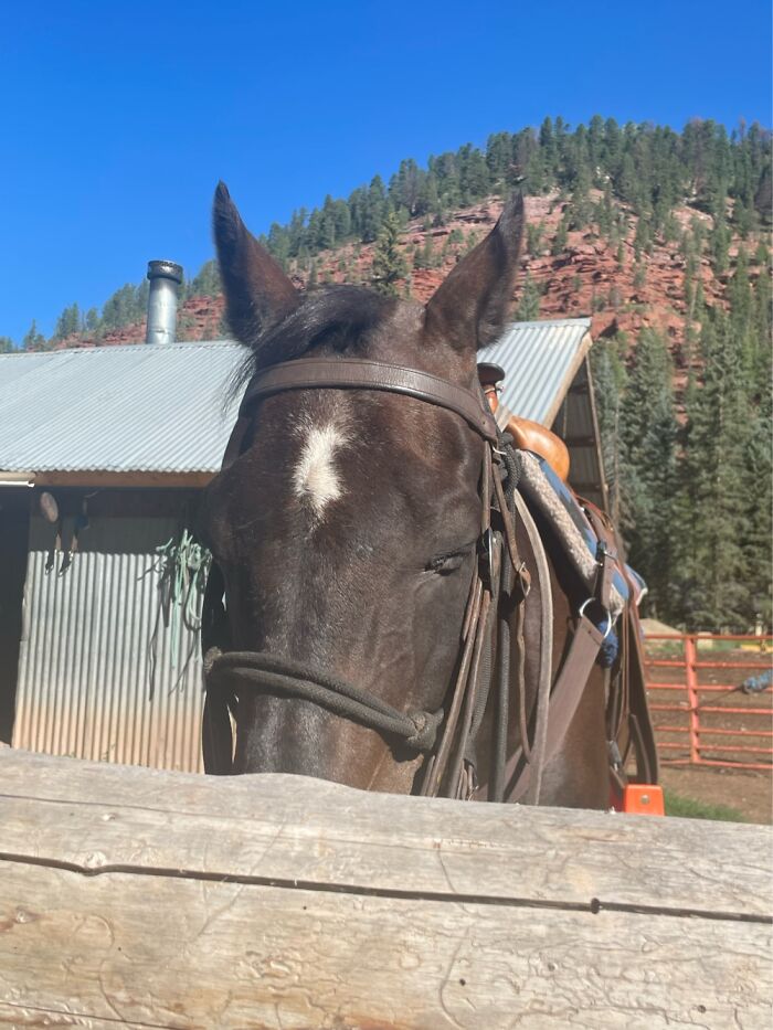 My Boy Cash Closes His Eyes As Soon As A Snap A Pic