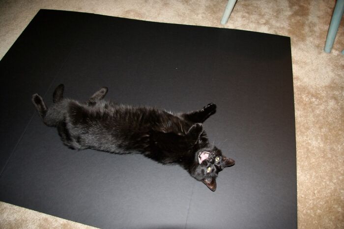 I Don’t Even Know What Was In Her Head