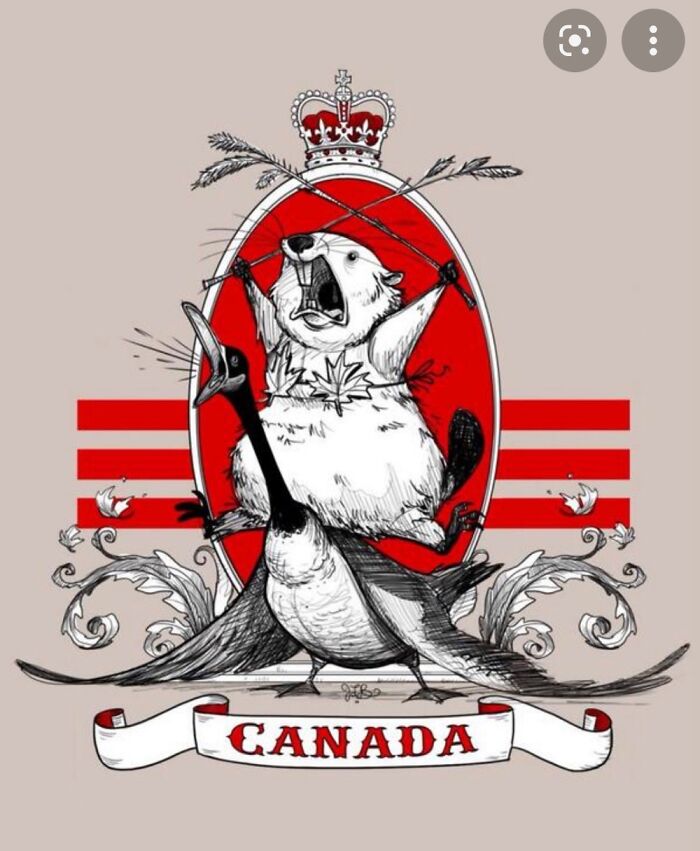 The Bikini Does It For Me