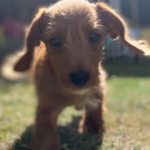 clairepettifer_1 avatar