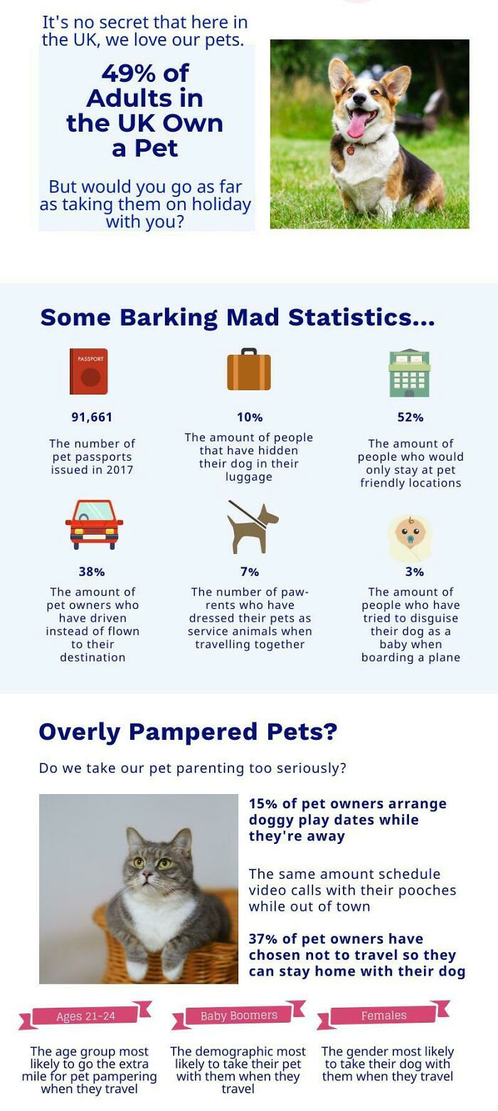 Traveling Abroad With Pets