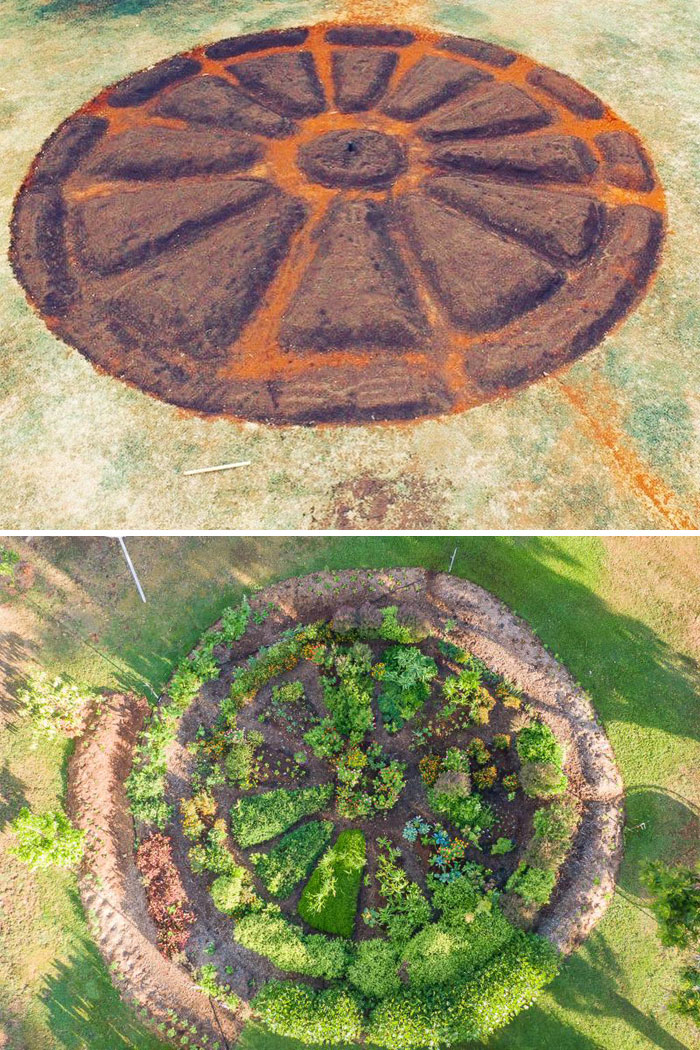 Before And After Of Our Medicinal Herb Garden