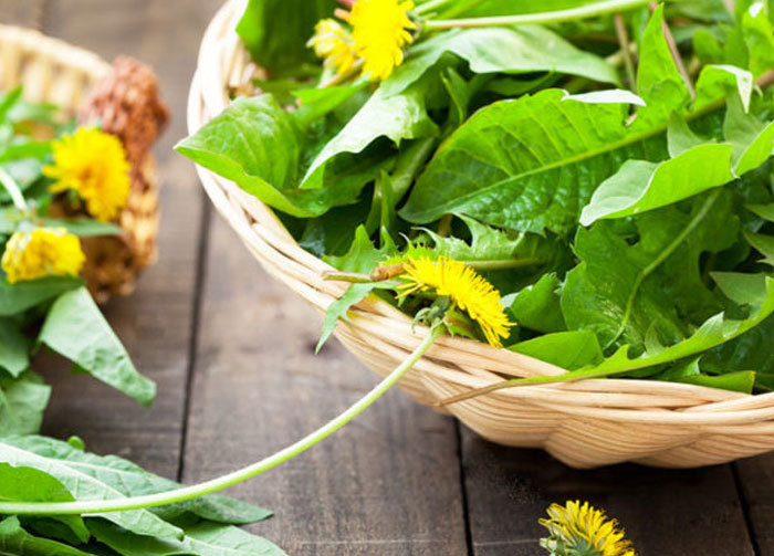 "Hoy aprendí": 30 nuevos datos que demuestran que nunca es demasiado tarde para aprender