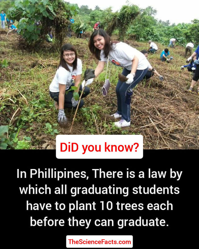 Interesting-Wildlife-Facts